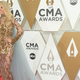 Image for article titled All the Sequins, Animal Prints, and Pinks at the 2019 Country Music Awards